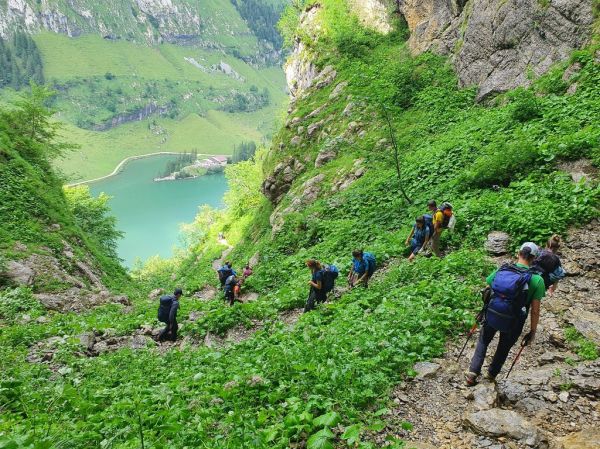 Clicca per vedere l'immagine alla massima grandezza