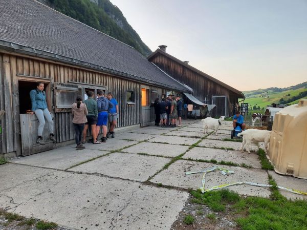 Clicca per vedere l'immagine alla massima grandezza