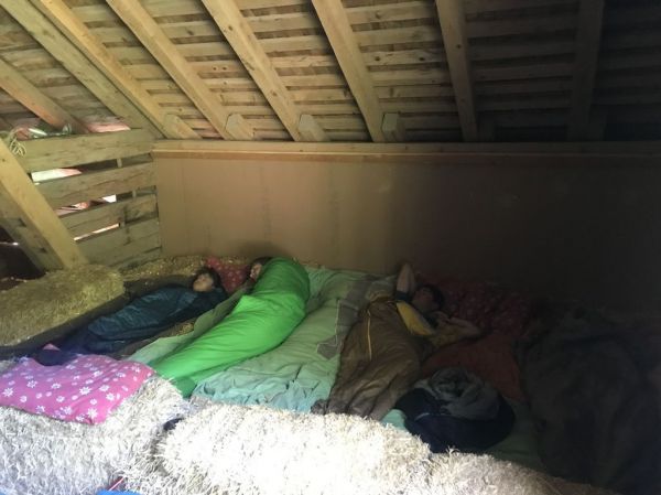 Clicca per vedere l'immagine alla massima grandezza