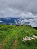 210703_PIO_CampoEstivo_034.jpg