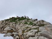 210703_PIO_CampoEstivo_053.jpg