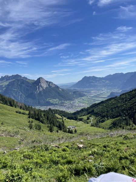 Clicca per vedere l'immagine alla massima grandezza