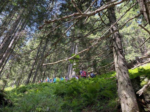 Clicca per vedere l'immagine alla massima grandezza