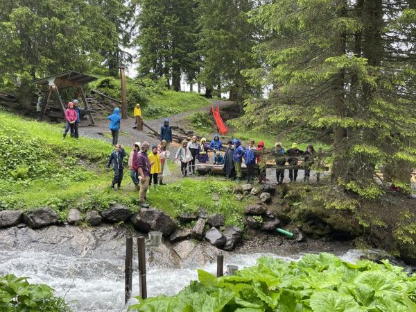 Clicca per vedere l'immagine alla massima grandezza