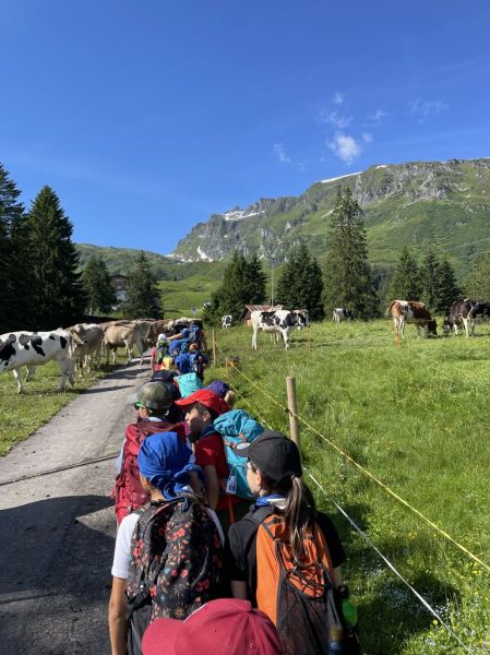 Clicca per vedere l'immagine alla massima grandezza