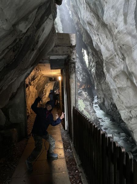 Clicca per vedere l'immagine alla massima grandezza