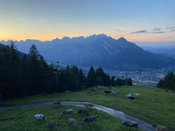 Clicca per vedere l'immagine alla massima grandezza
