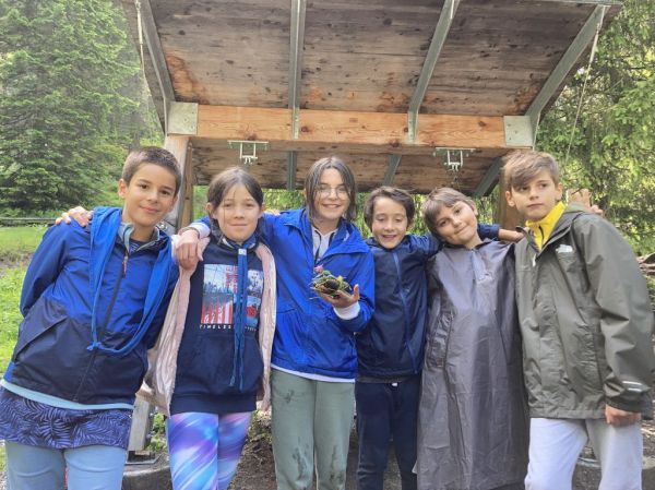 Clicca per vedere l'immagine alla massima grandezza