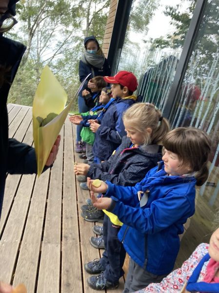 Clicca per vedere l'immagine alla massima grandezza