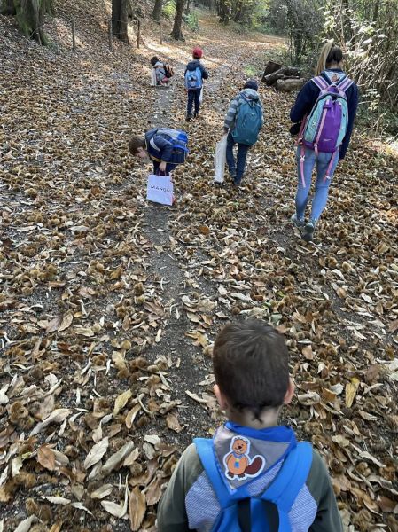 Clicca per vedere l'immagine alla massima grandezza