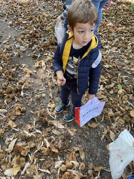 Clicca per vedere l'immagine alla massima grandezza