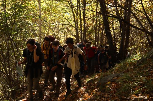 Clicca per vedere l'immagine alla massima grandezza