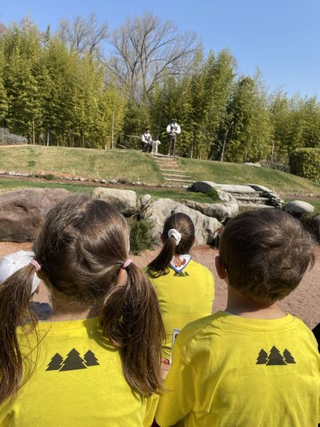 Clicca per vedere l'immagine alla massima grandezza