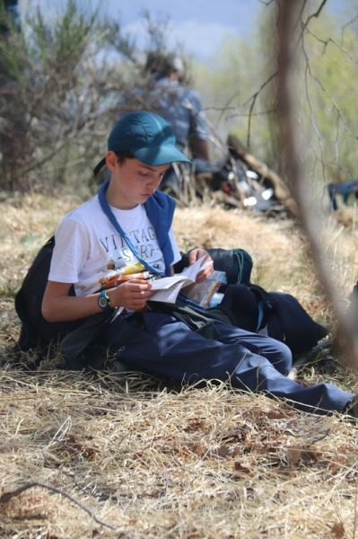 Clicca per vedere l'immagine alla massima grandezza