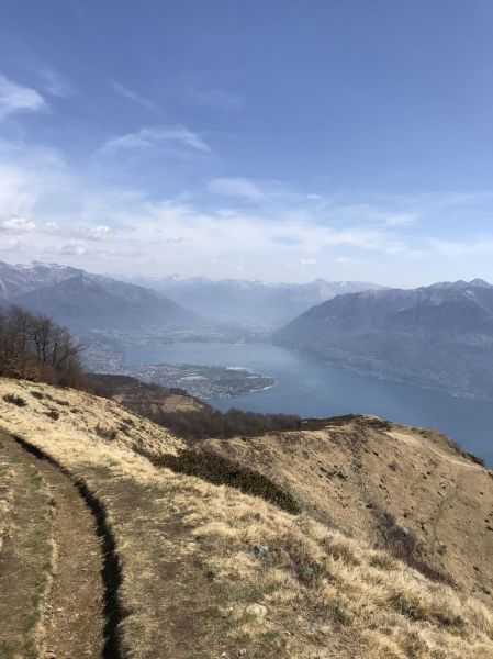 Clicca per vedere l'immagine alla massima grandezza