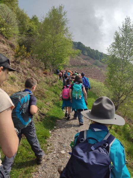 Clicca per vedere l'immagine alla massima grandezza