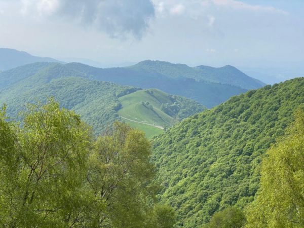 Clicca per vedere l'immagine alla massima grandezza