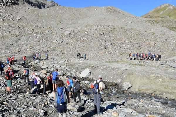 Clicca per vedere l'immagine alla massima grandezza