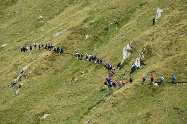 Clicca per vedere l'immagine alla massima grandezza