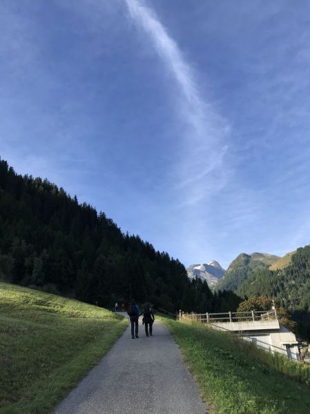 Clicca per vedere l'immagine alla massima grandezza