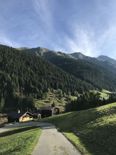 Clicca per vedere l'immagine alla massima grandezza