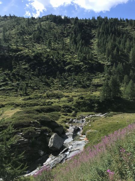 Clicca per vedere l'immagine alla massima grandezza
