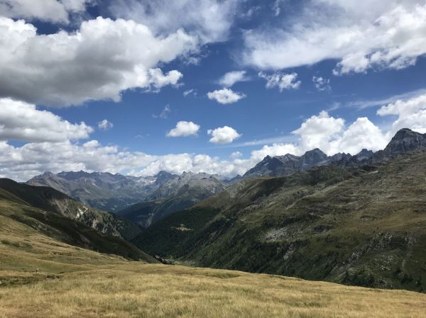 Clicca per vedere l'immagine alla massima grandezza