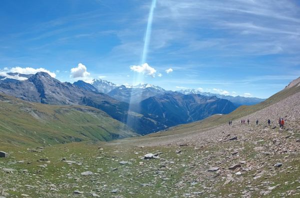 Clicca per vedere l'immagine alla massima grandezza