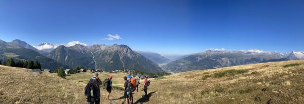 Clicca per vedere l'immagine alla massima grandezza