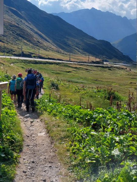 Clicca per vedere l'immagine alla massima grandezza