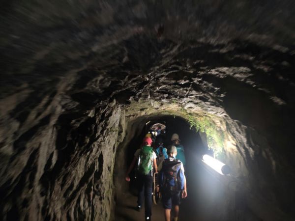 Clicca per vedere l'immagine alla massima grandezza