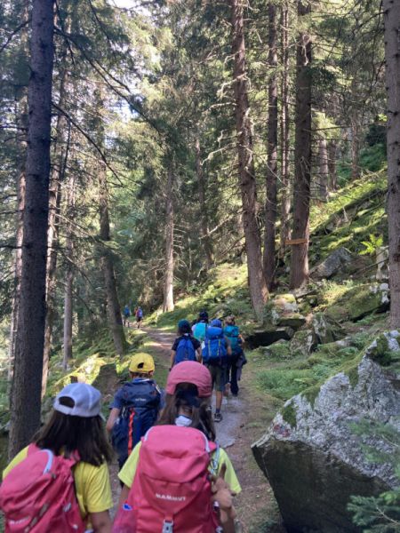 Clicca per vedere l'immagine alla massima grandezza