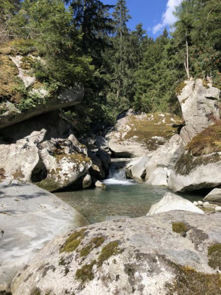 Clicca per vedere l'immagine alla massima grandezza