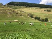 220724_LUPI_CampeggioaTschamut_025.JPG