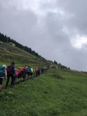 220724_LUPI_CampeggioaTschamut_036.JPG