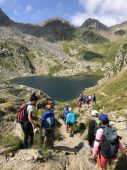 220724_LUPI_CampeggioaTschamut_068.JPG