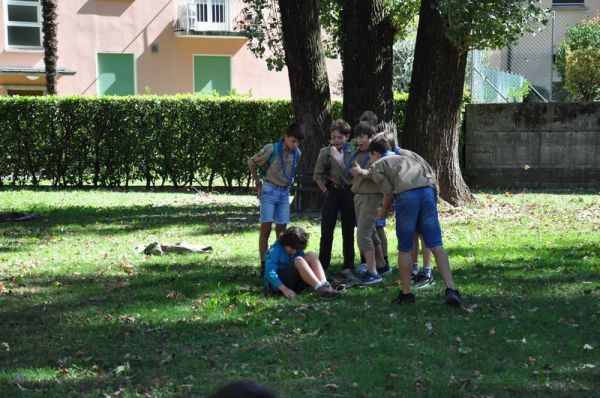 Clicca per vedere l'immagine alla massima grandezza