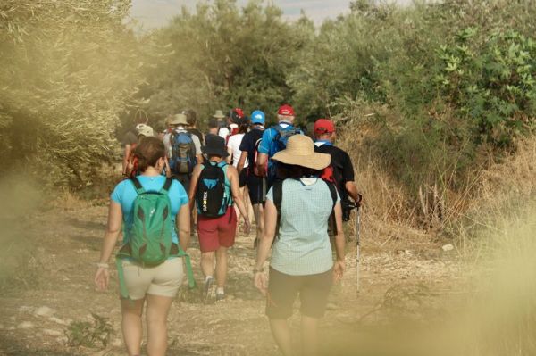 Clicca per vedere l'immagine alla massima grandezza