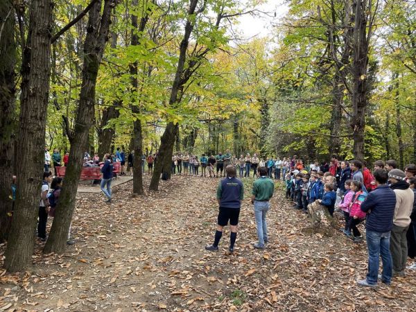 Clicca per vedere l'immagine alla massima grandezza