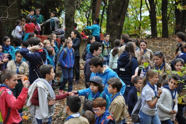 Clicca per vedere l'immagine alla massima grandezza