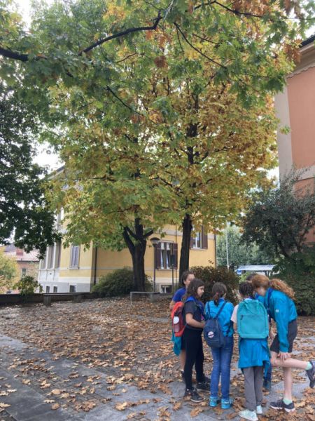 Clicca per vedere l'immagine alla massima grandezza