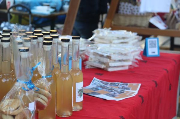 Clicca per vedere l'immagine alla massima grandezza