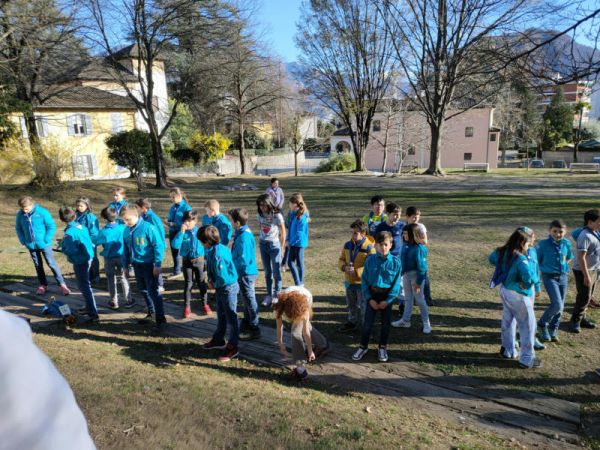 Clicca per vedere l'immagine alla massima grandezza