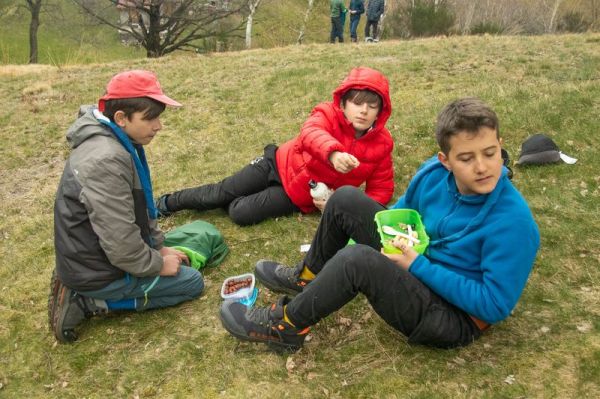 Clicca per vedere l'immagine alla massima grandezza