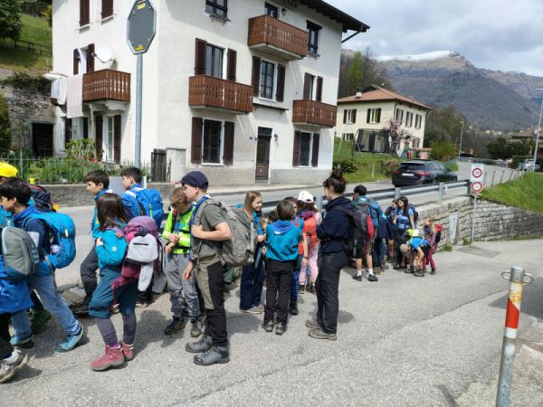 Clicca per vedere l'immagine alla massima grandezza