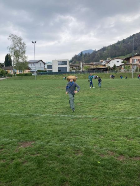 Clicca per vedere l'immagine alla massima grandezza