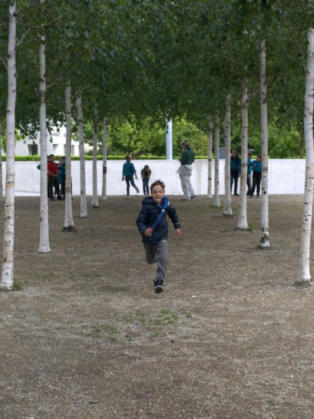 Clicca per vedere l'immagine alla massima grandezza