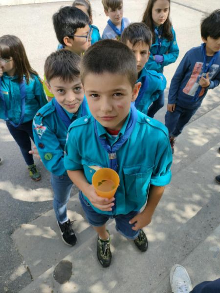 Clicca per vedere l'immagine alla massima grandezza