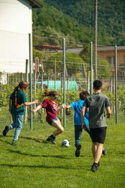 Clicca per vedere l'immagine alla massima grandezza