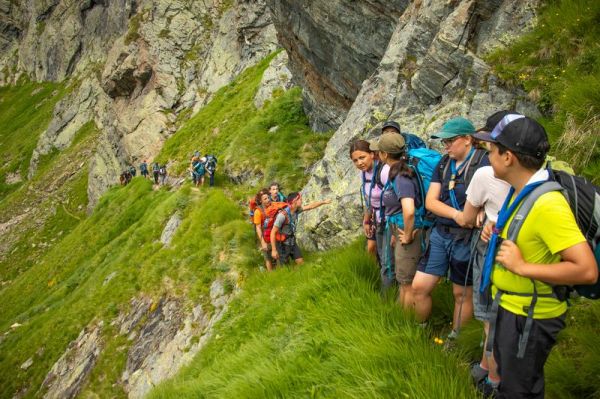 Clicca per vedere l'immagine alla massima grandezza